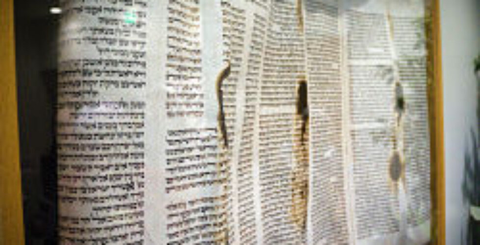 holocaust-torah-remnant