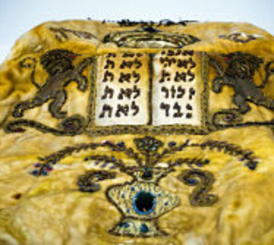 torah-cover